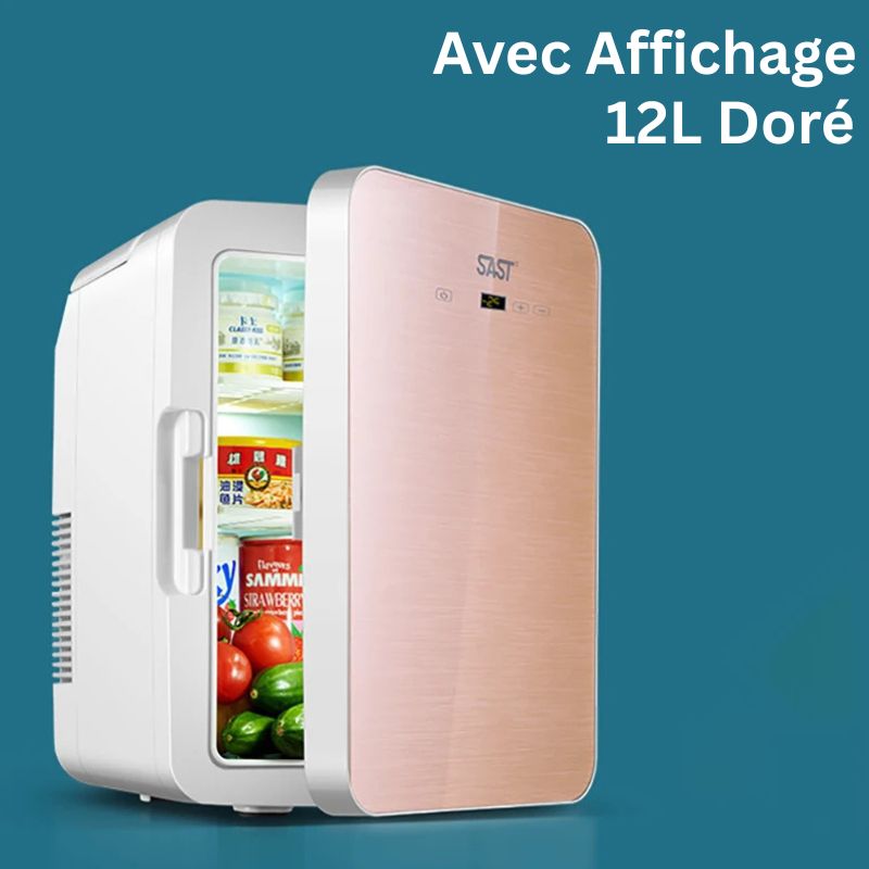 Mini Réfrigérateur Électrique 12L – Chaud & Froid