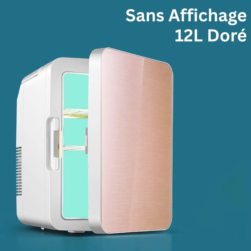 Mini Réfrigérateur Électrique 12L – Chaud & Froid